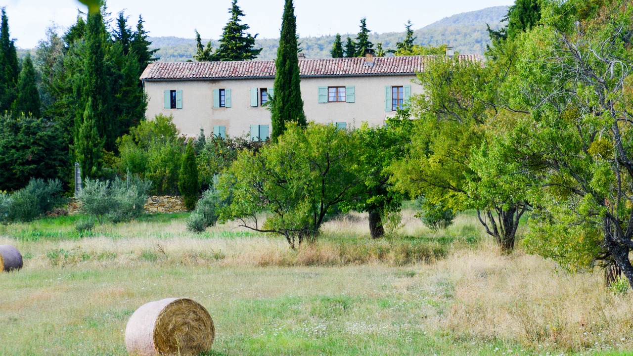 Photo of Outdoor in Cruis