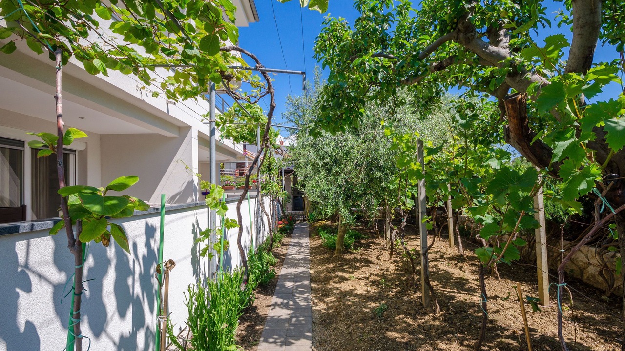 Photo of Outdoor in Rab Town