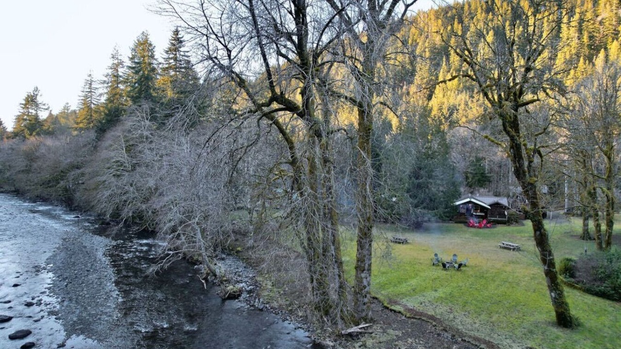 Photo of Others in Beaver