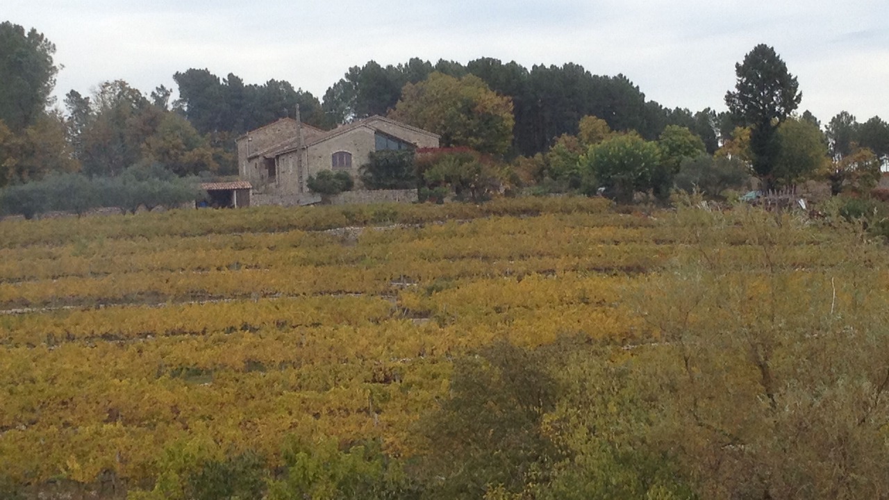 Photo of Outdoor in Rosieres