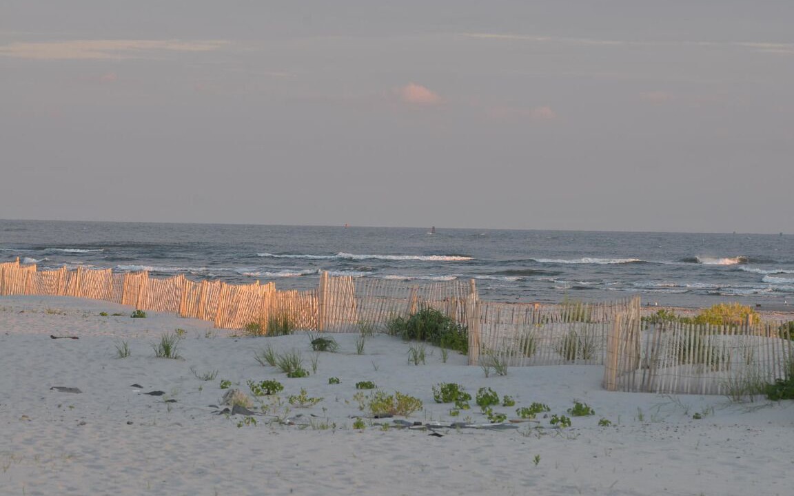 Photo of Others in Southend