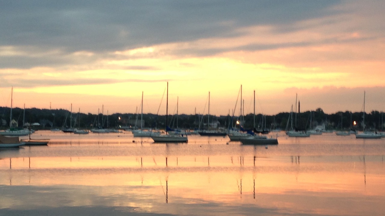 Photo of Others in Bristol