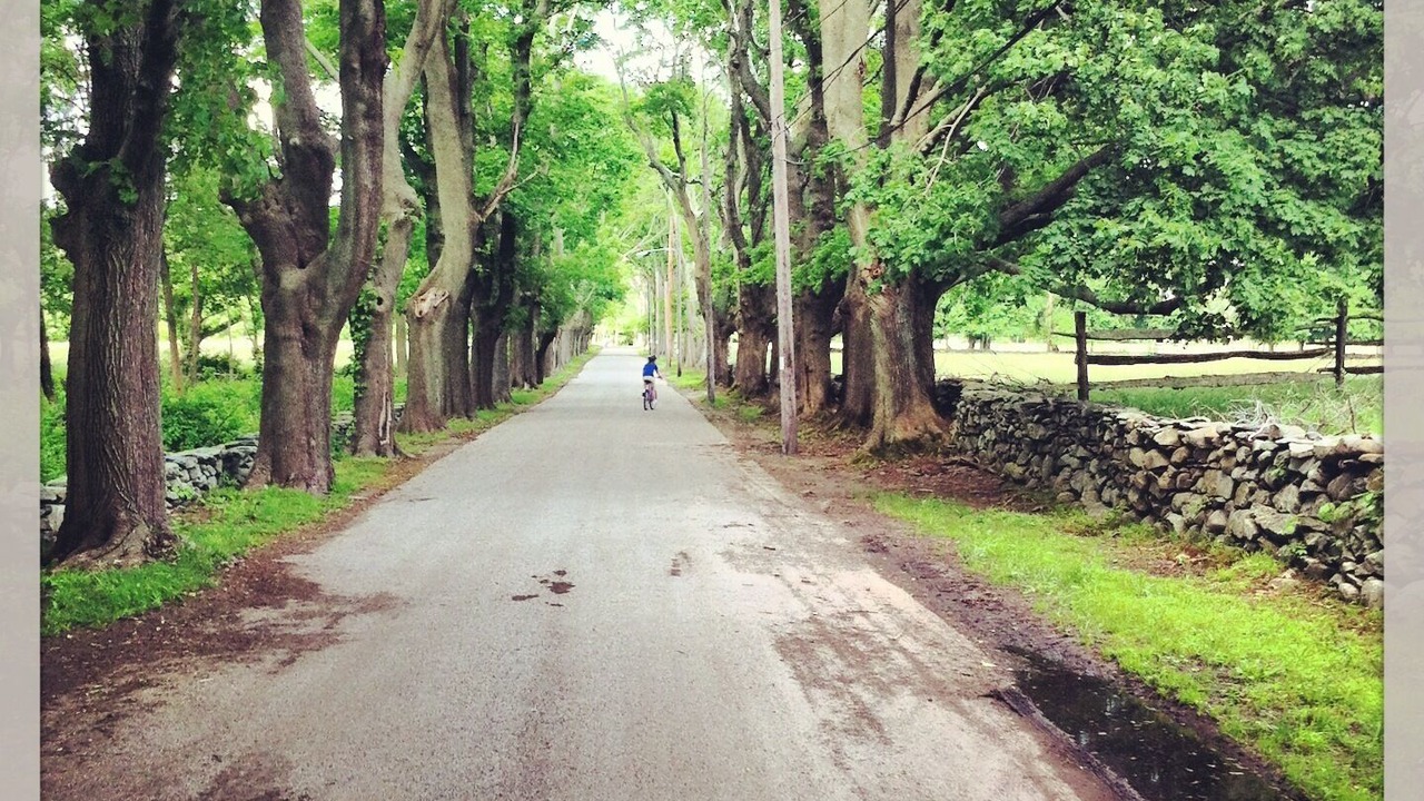 Photo of Others in Bristol