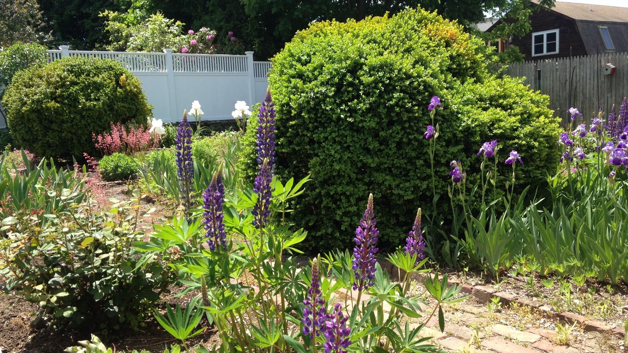 Photo of Outdoor in Bristol