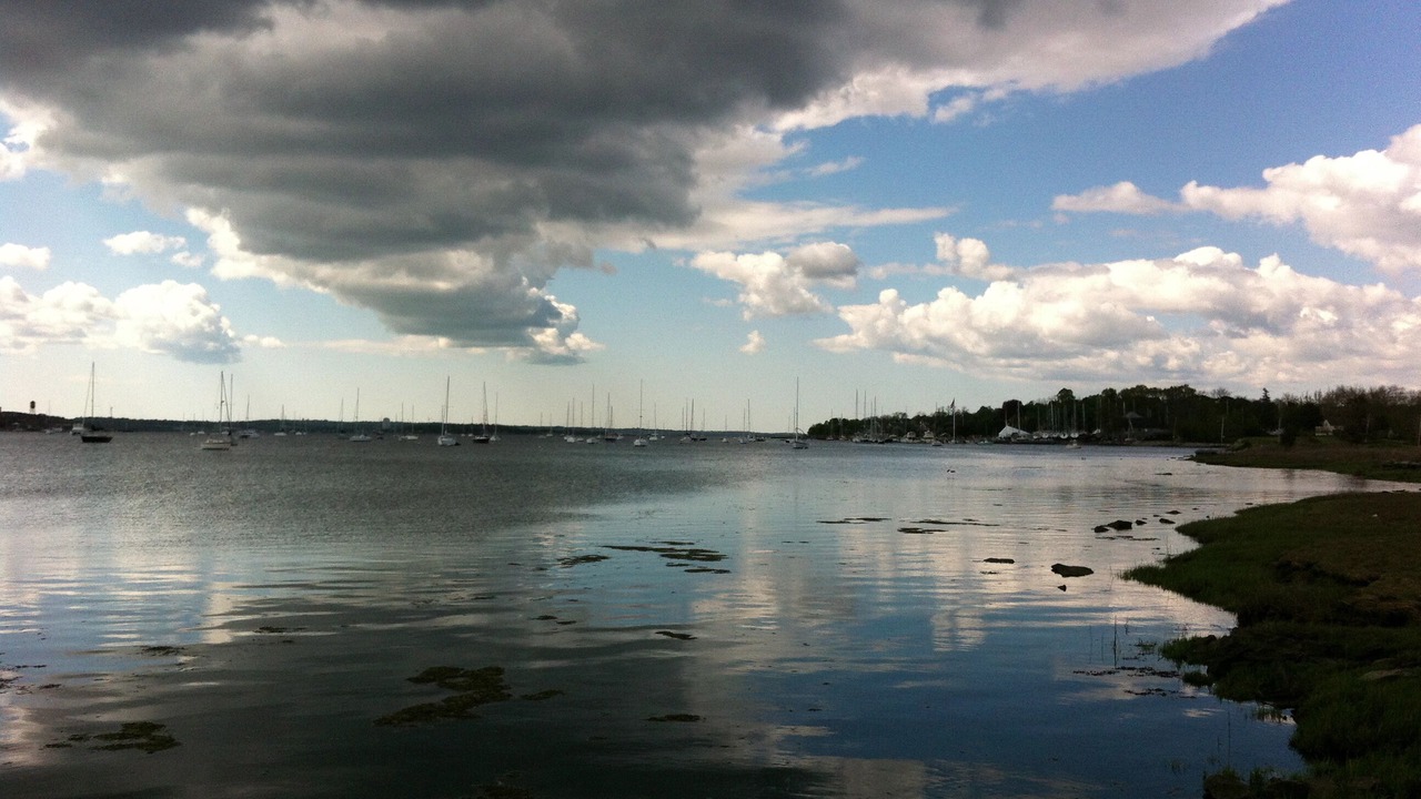 Photo of Others in Bristol