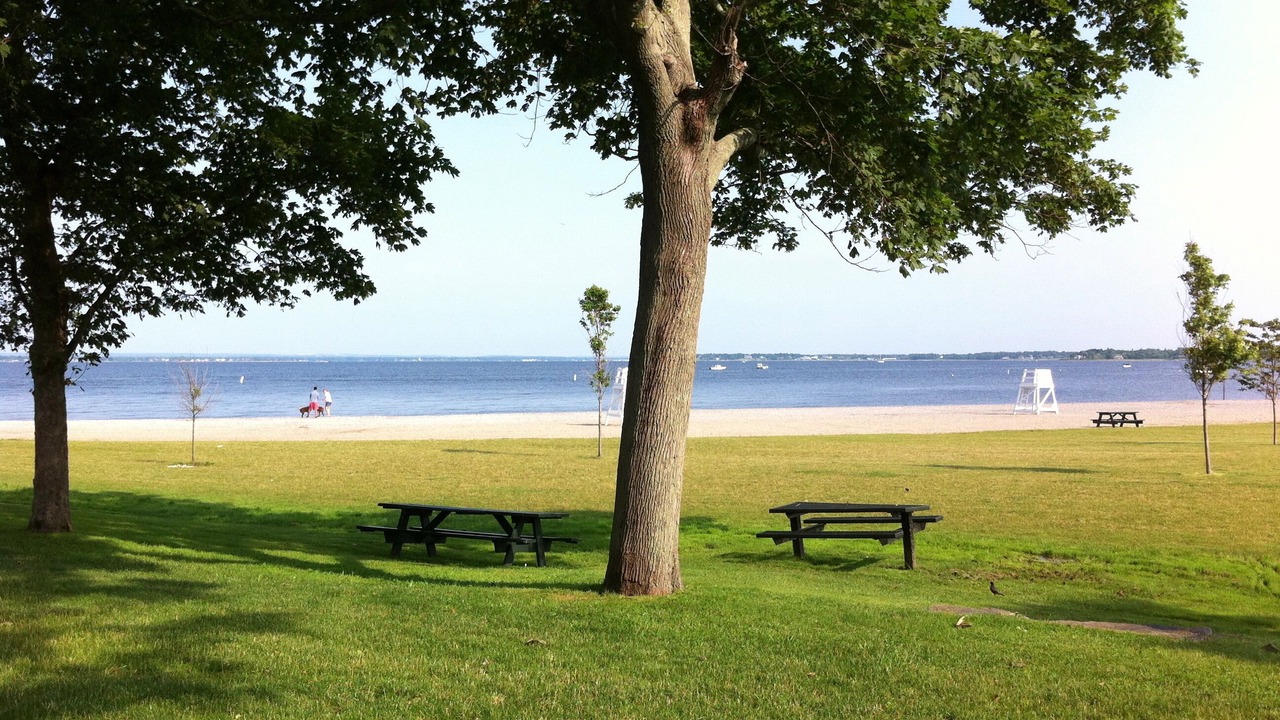 Photo of Others in Bristol