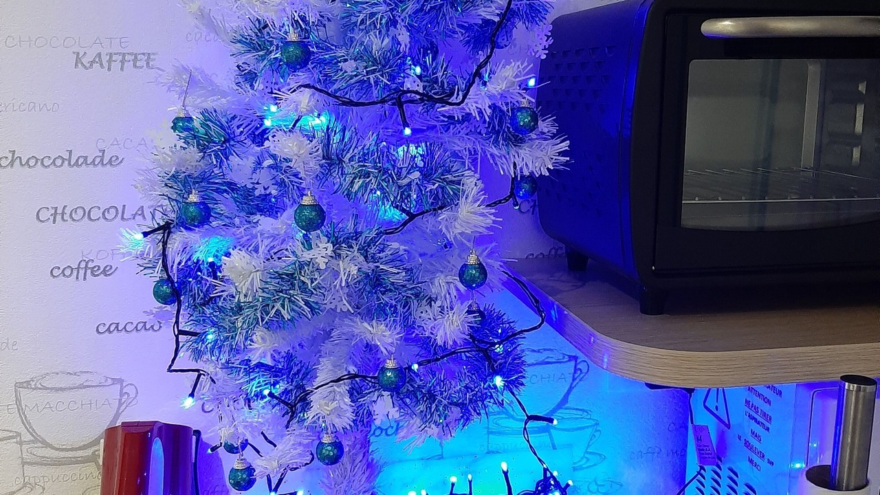 Photo of Others in Le Treport