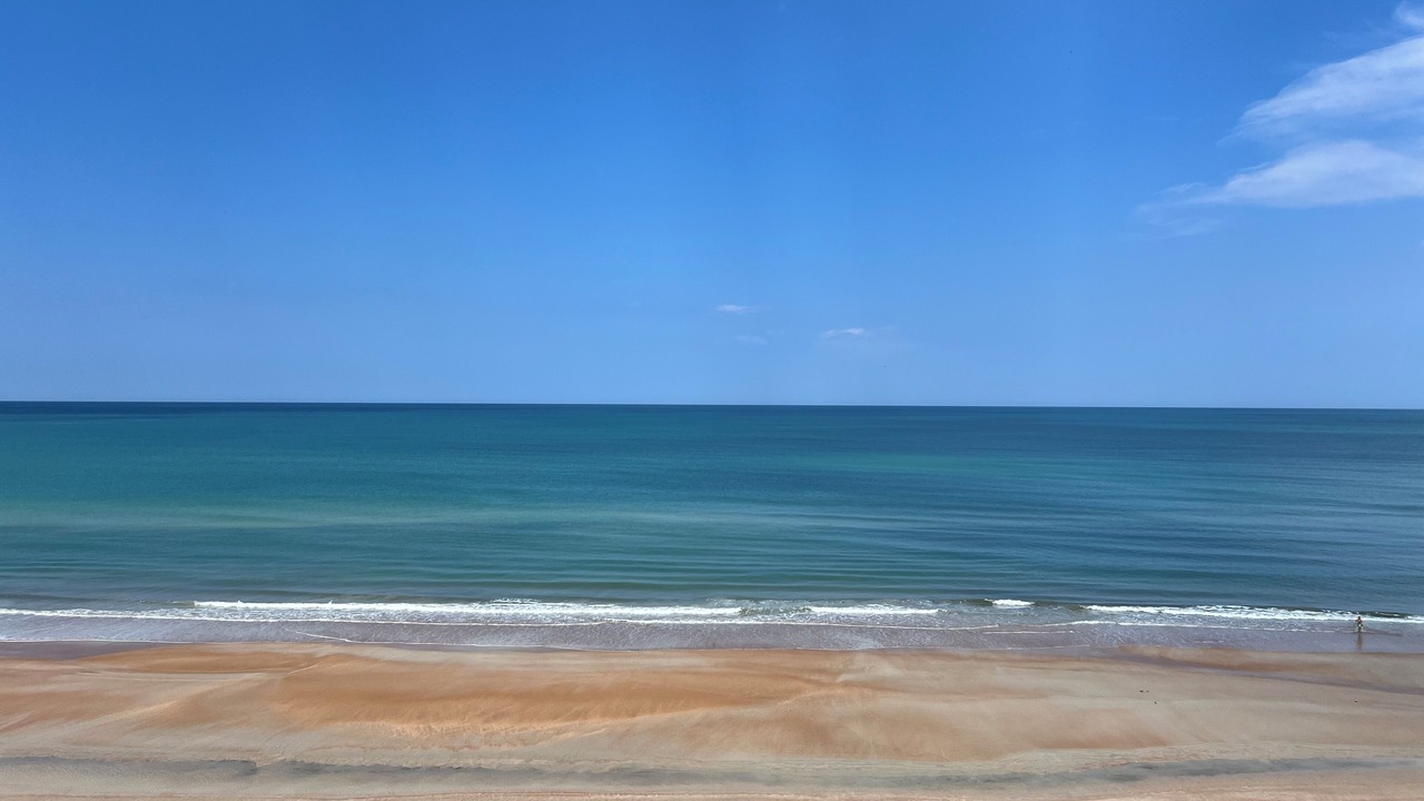 Photo of Others in Daytona Beach Shores