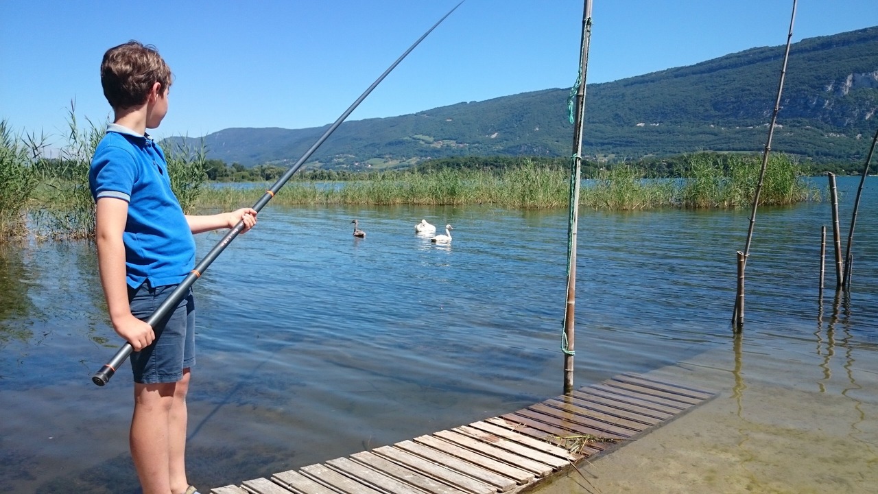 Photo of Others in Conjux