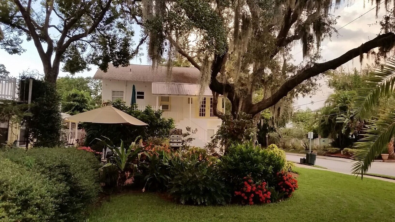 Photo of Outdoor in Tarpon Springs