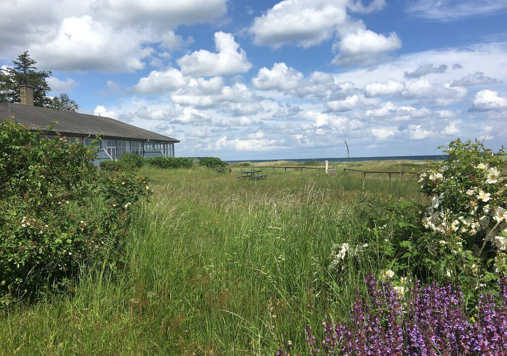 Photo of Others in Nyborg