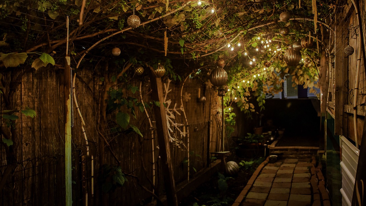 Photo of Outdoor in St. Louis