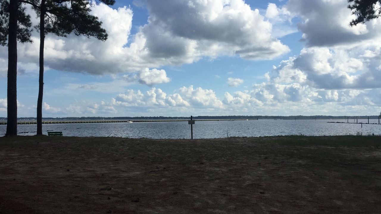 Photo of Others in Belhaven