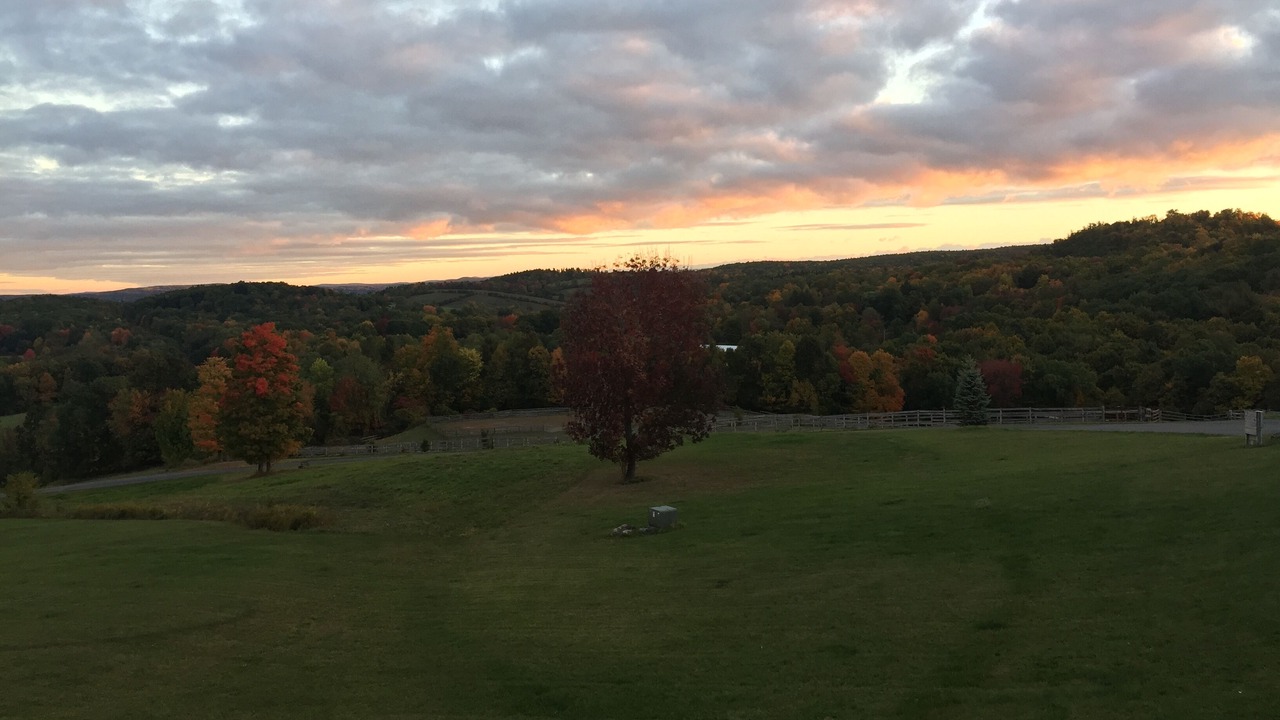 Photo of Outdoor in Chatham