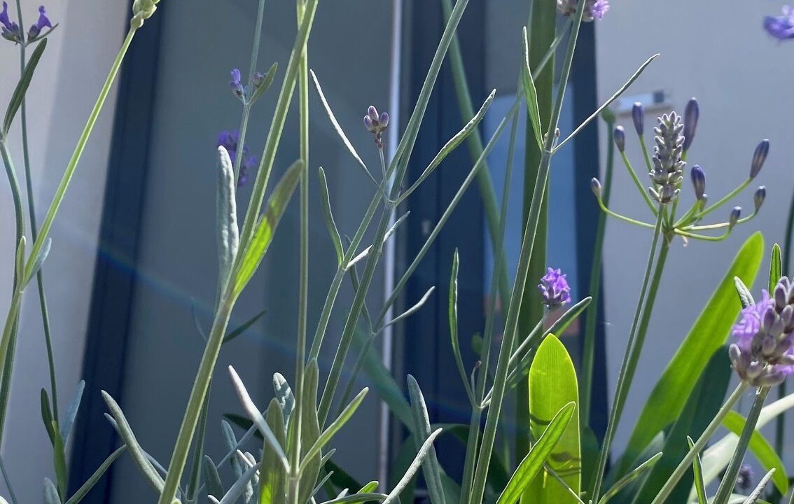 Photo of Outdoor in Biarritz