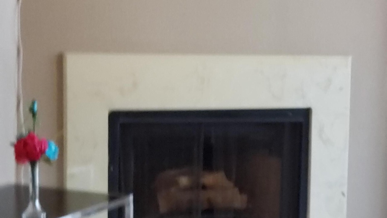 Photo of Livingroom in Greater Fondren Southwest