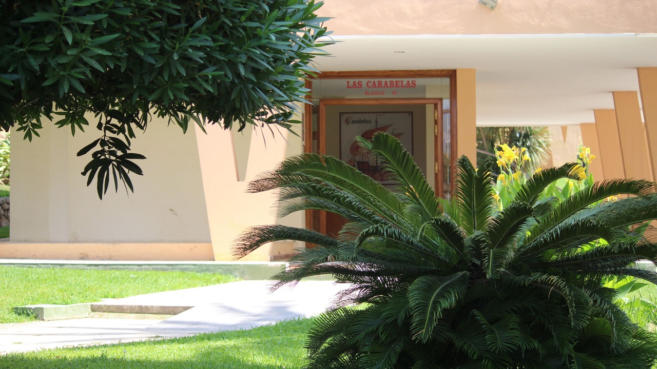 Photo of Outdoor in Rincon de Loix