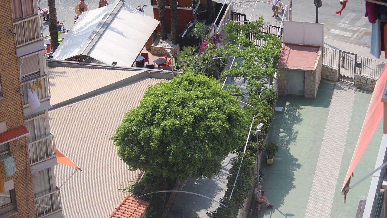 Photo of Outdoor in Rincon de Loix