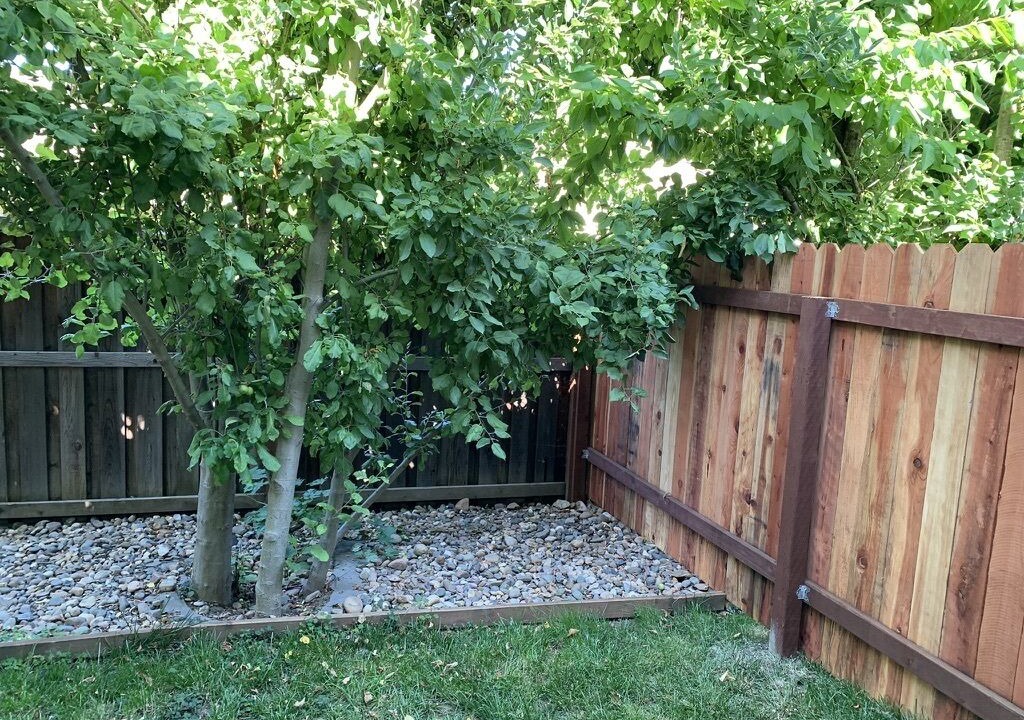 Photo of Outdoor in Davis