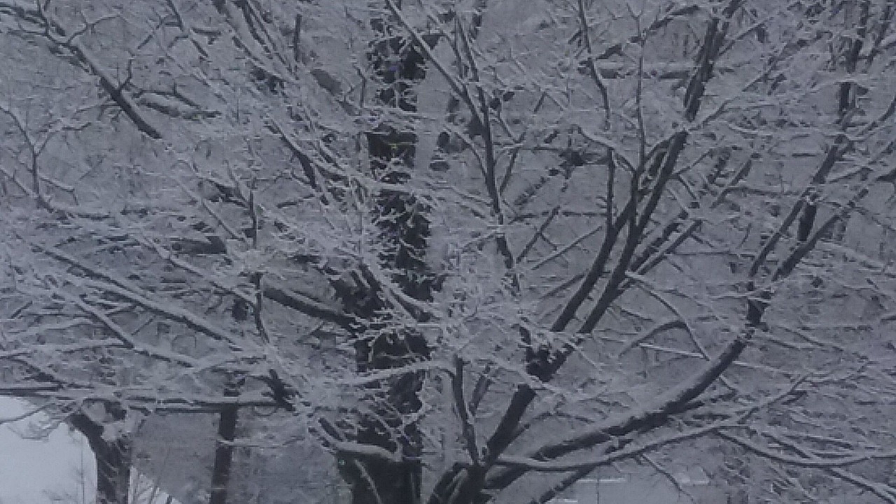 Photo of Others in Haines Falls