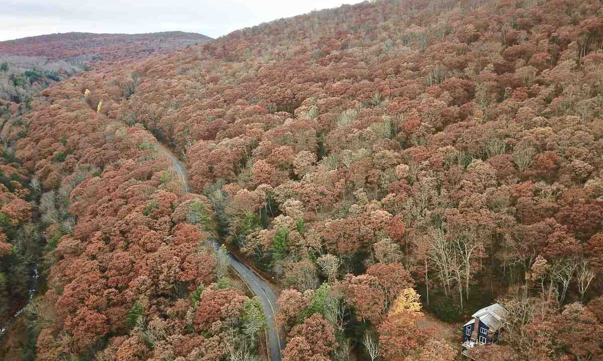 Photo of Others in Egremont