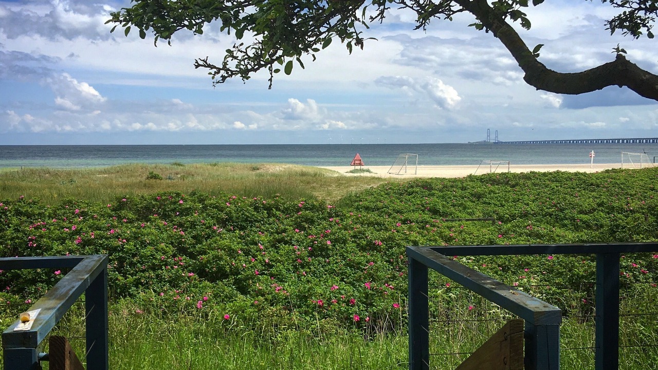 Photo of Outdoor in Nyborg