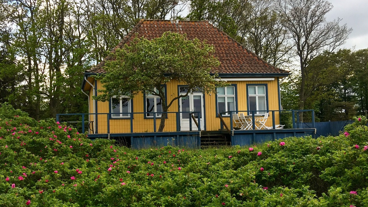 Photo of Outdoor in Nyborg