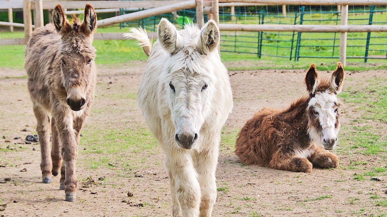Photo of Others in Funtington