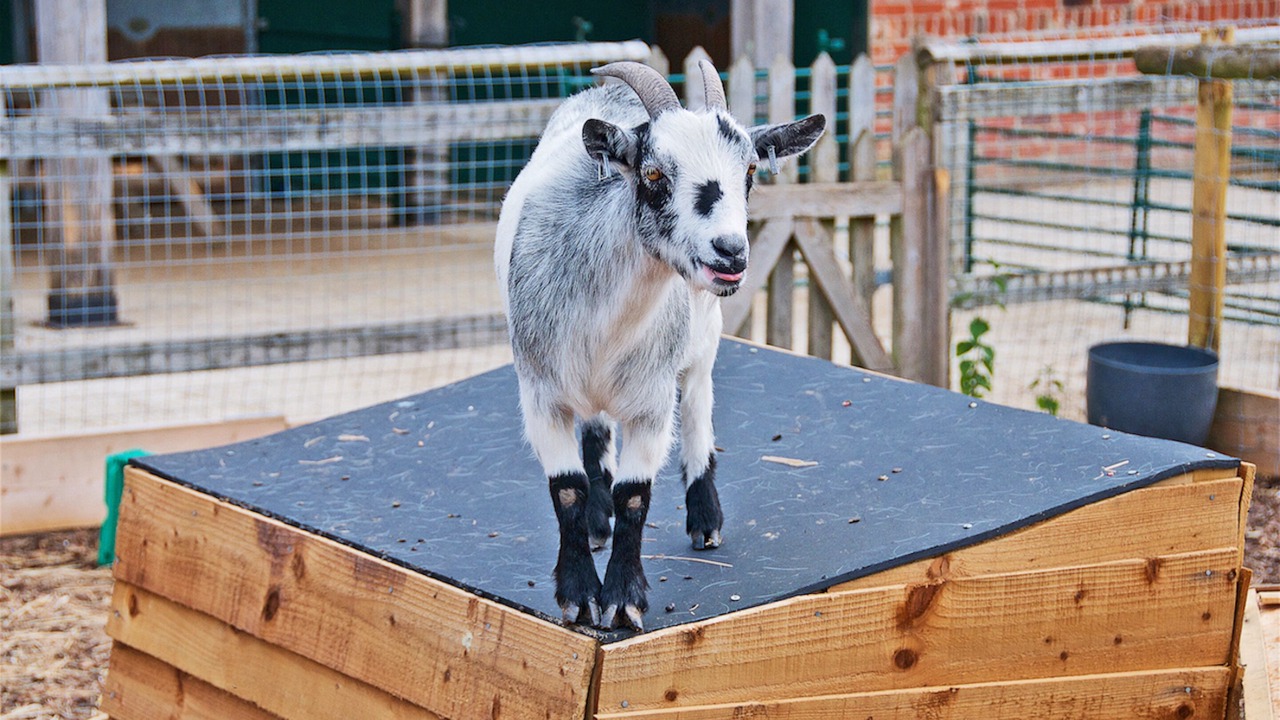 Photo of Others in Funtington