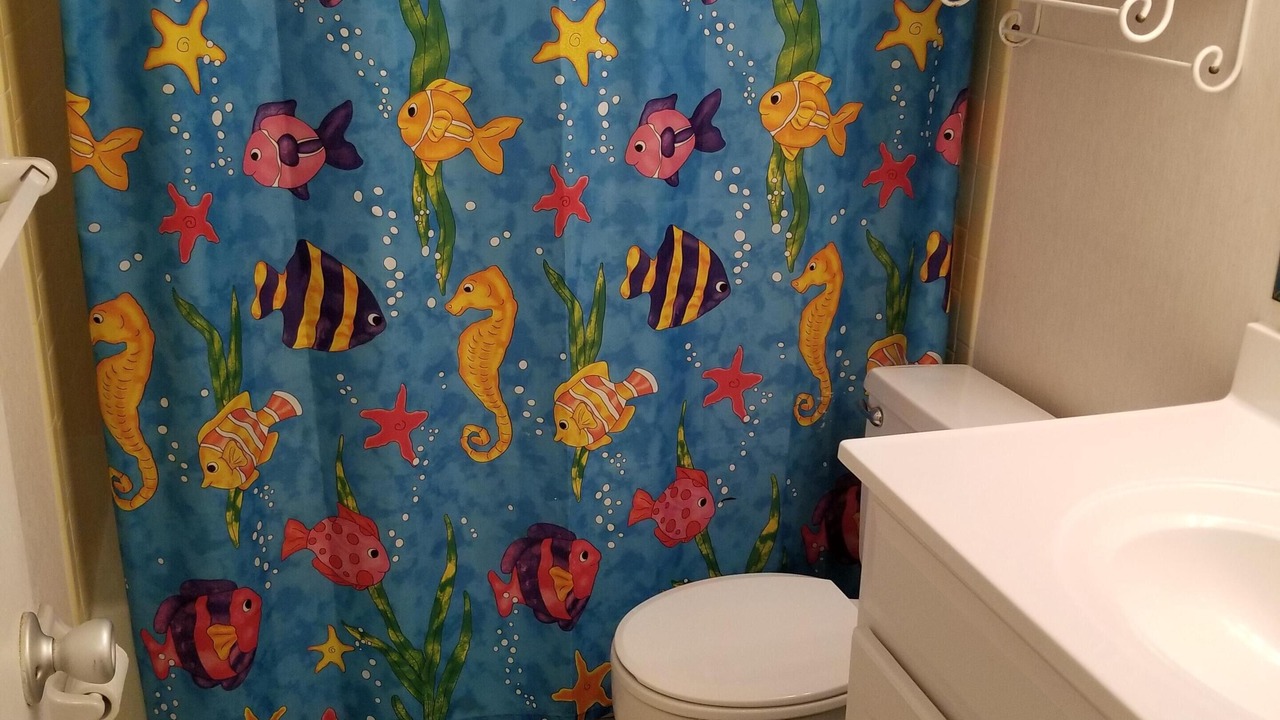 Photo of Others in Spanish Waters