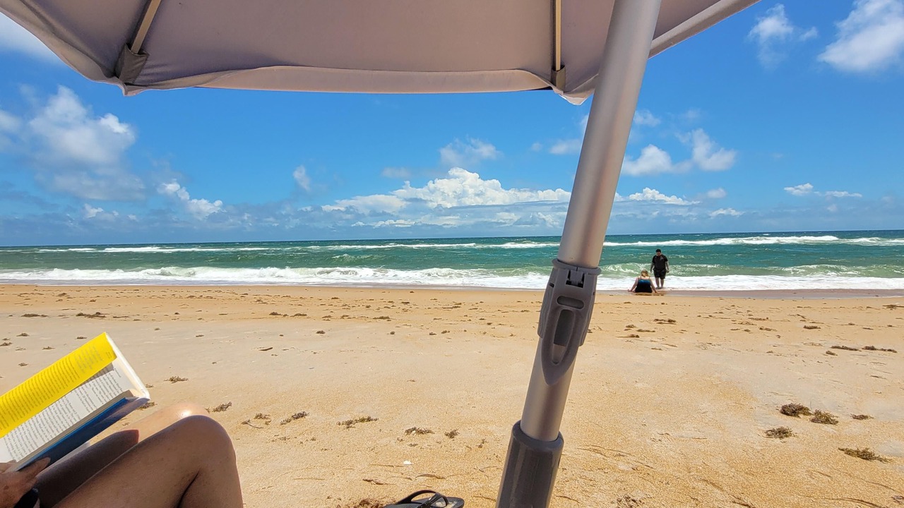 Photo of Others in Spanish Waters