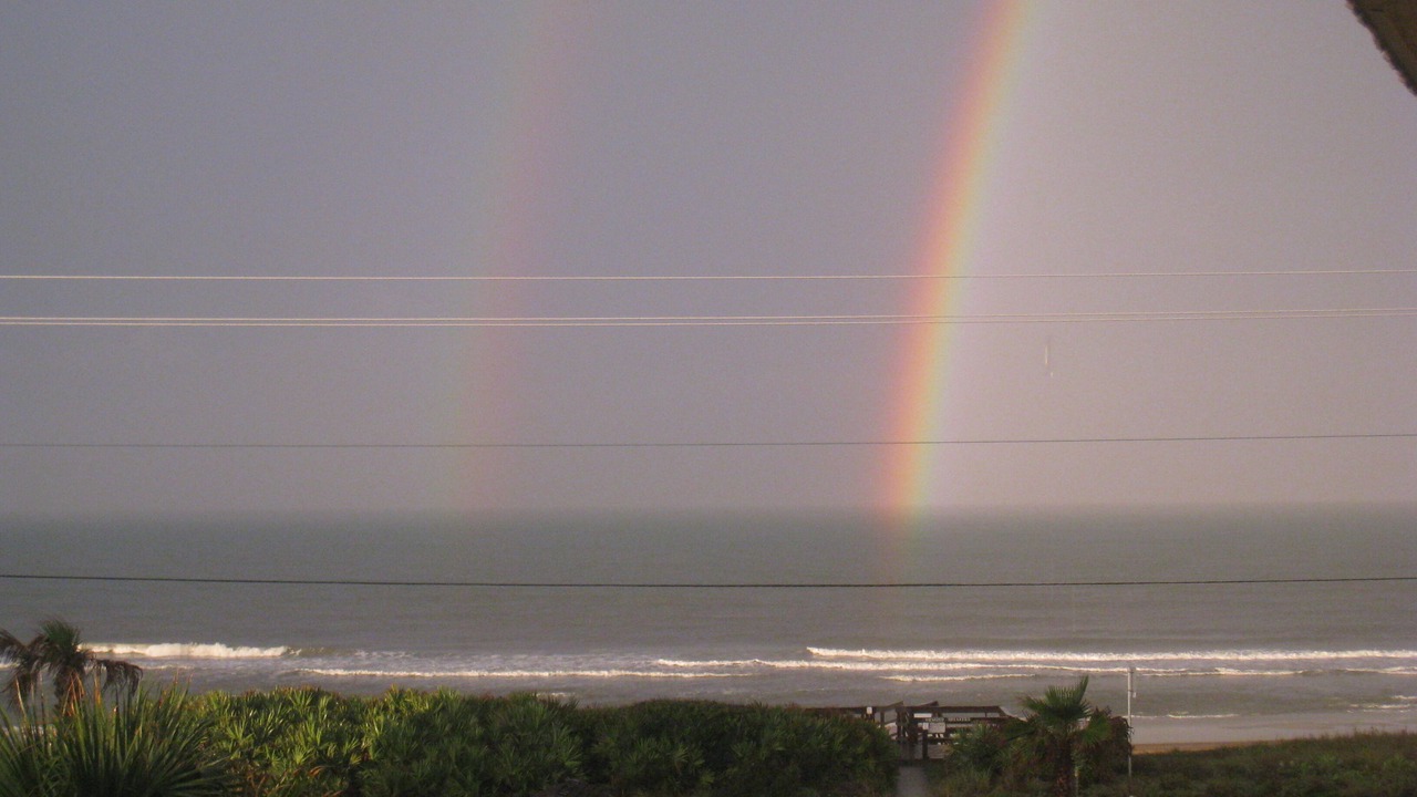 Photo of Others in Spanish Waters