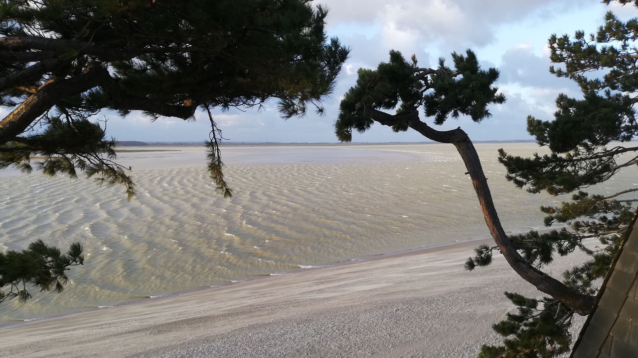 Photo of Others in Le Crotoy