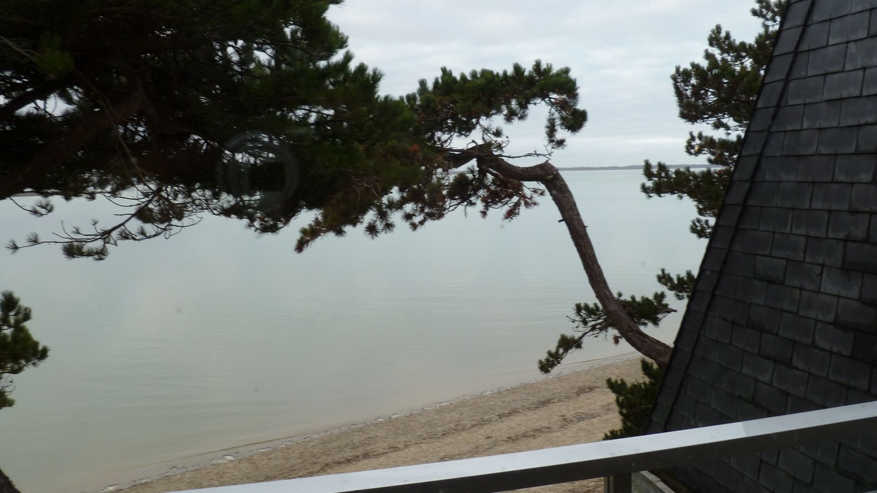 Photo of Others in Le Crotoy