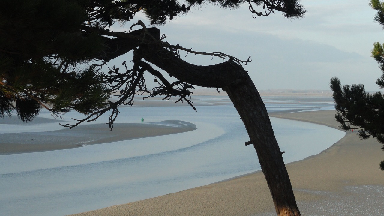 Photo of Others in Le Crotoy
