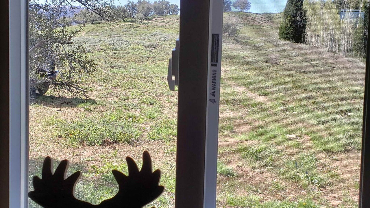 Photo of Others in Dingle