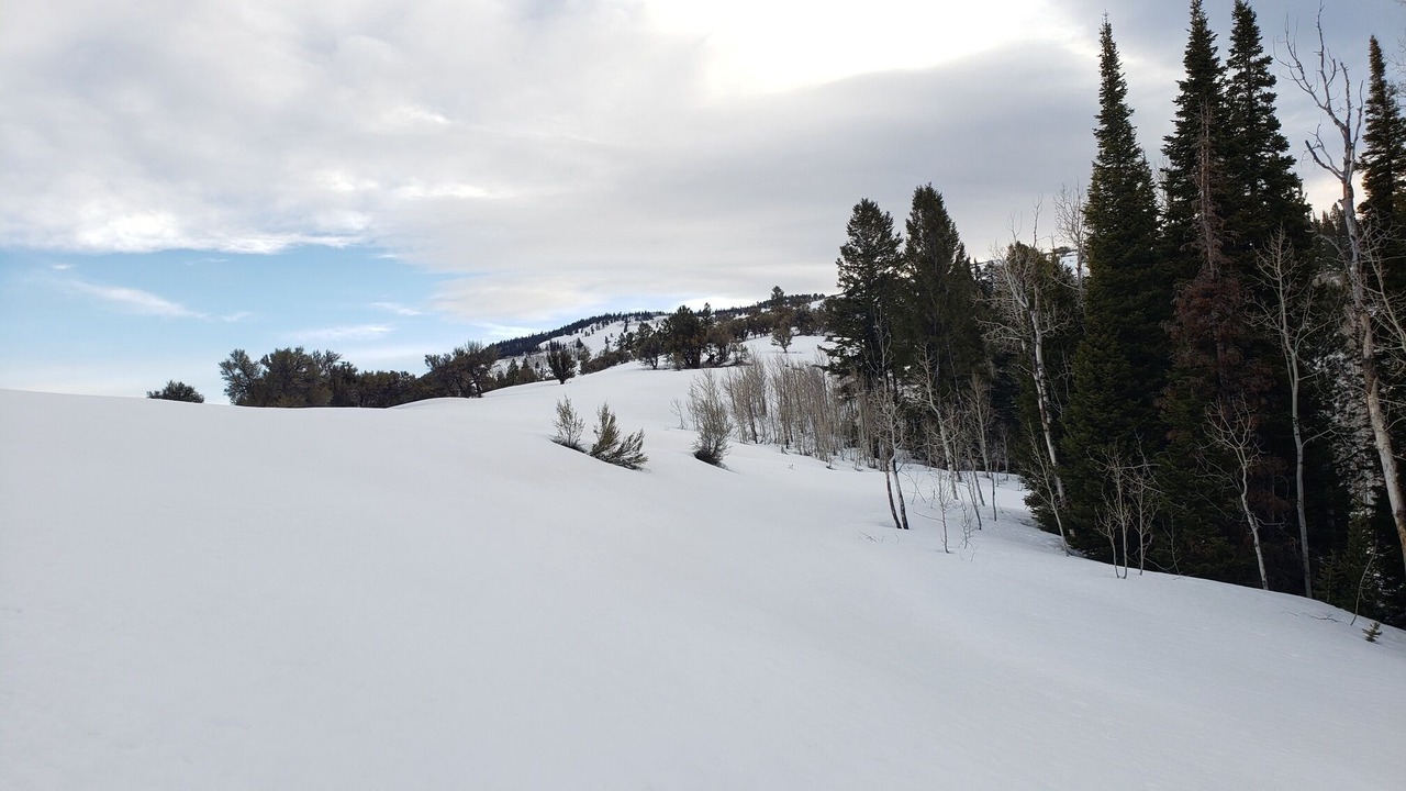 Photo of Others in Dingle