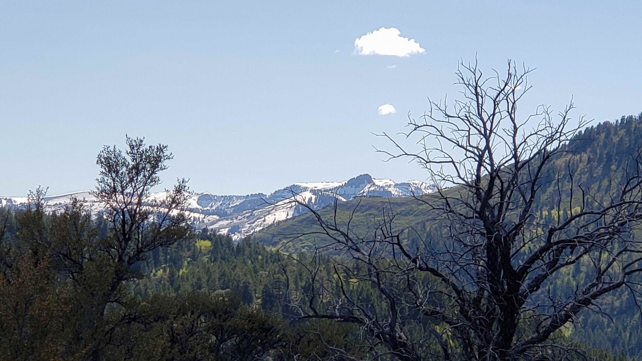 Photo of Others in Dingle