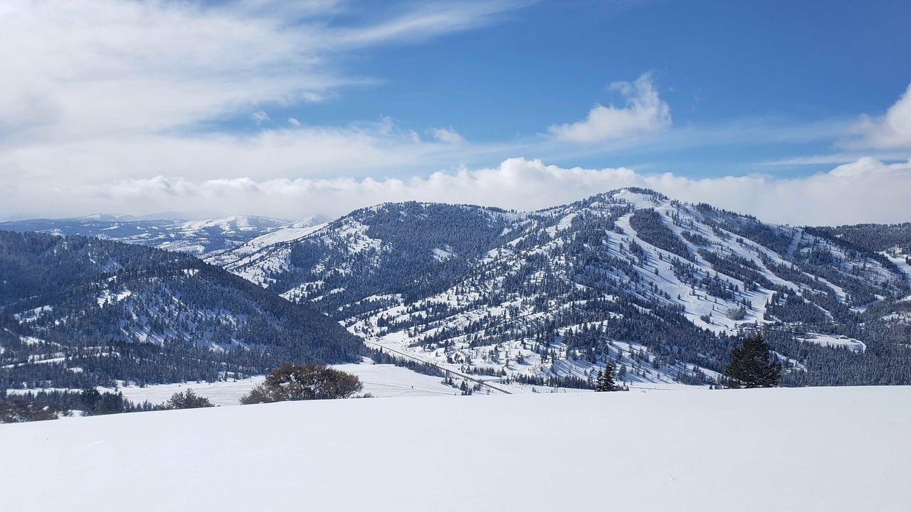 Photo of Others in Dingle