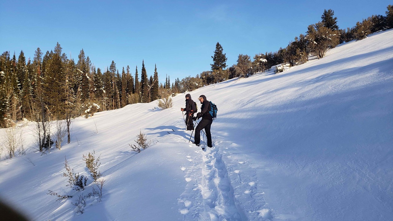 Photo of Others in Dingle