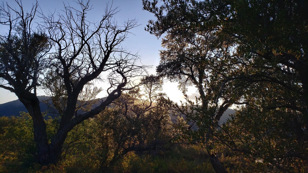 Photo of Outdoor in Dingle