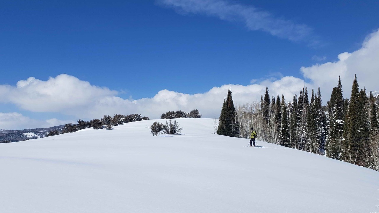 Photo of Others in Dingle