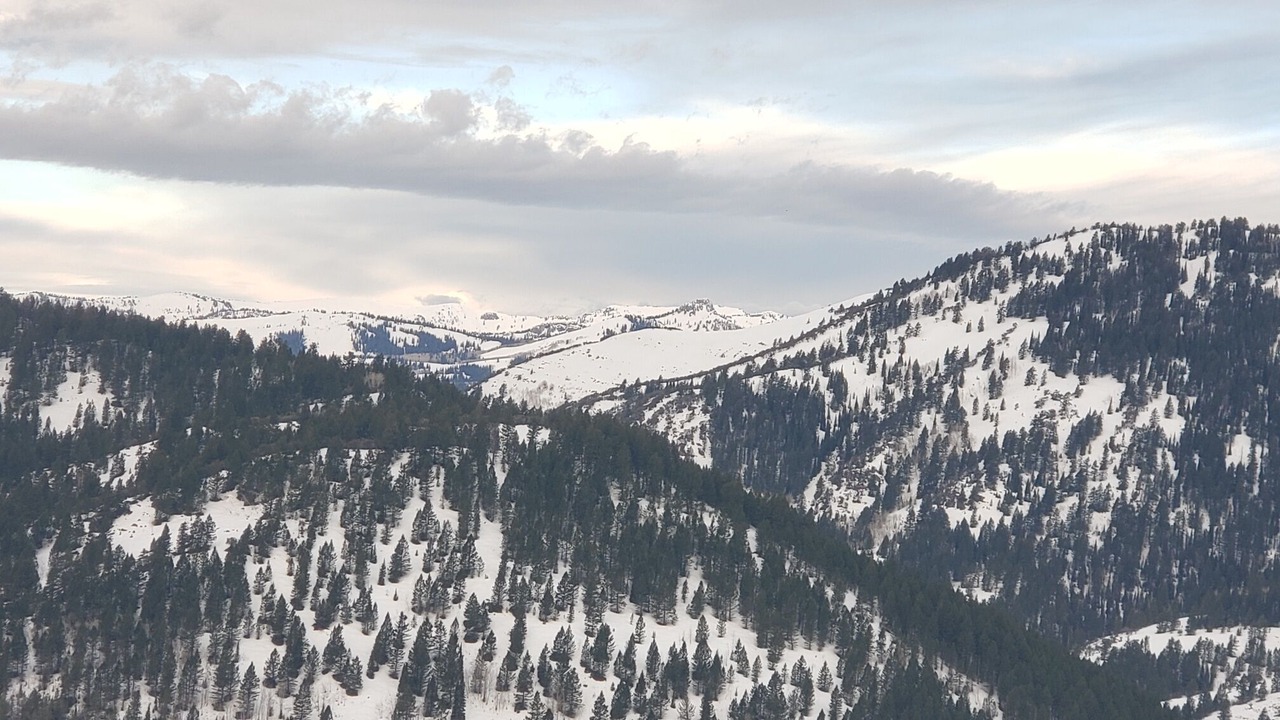 Photo of Others in Dingle