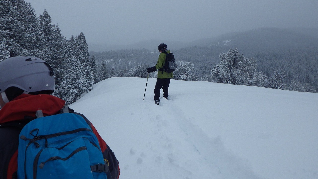 Photo of Others in Dingle