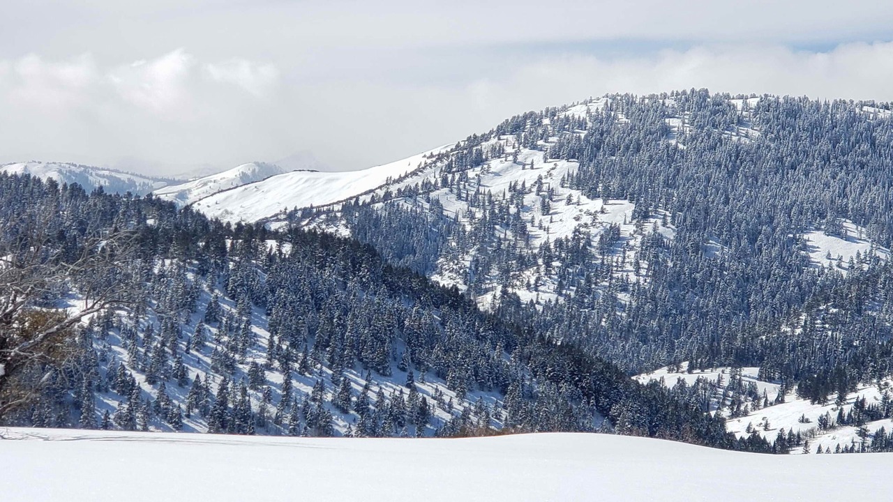 Photo of Others in Dingle