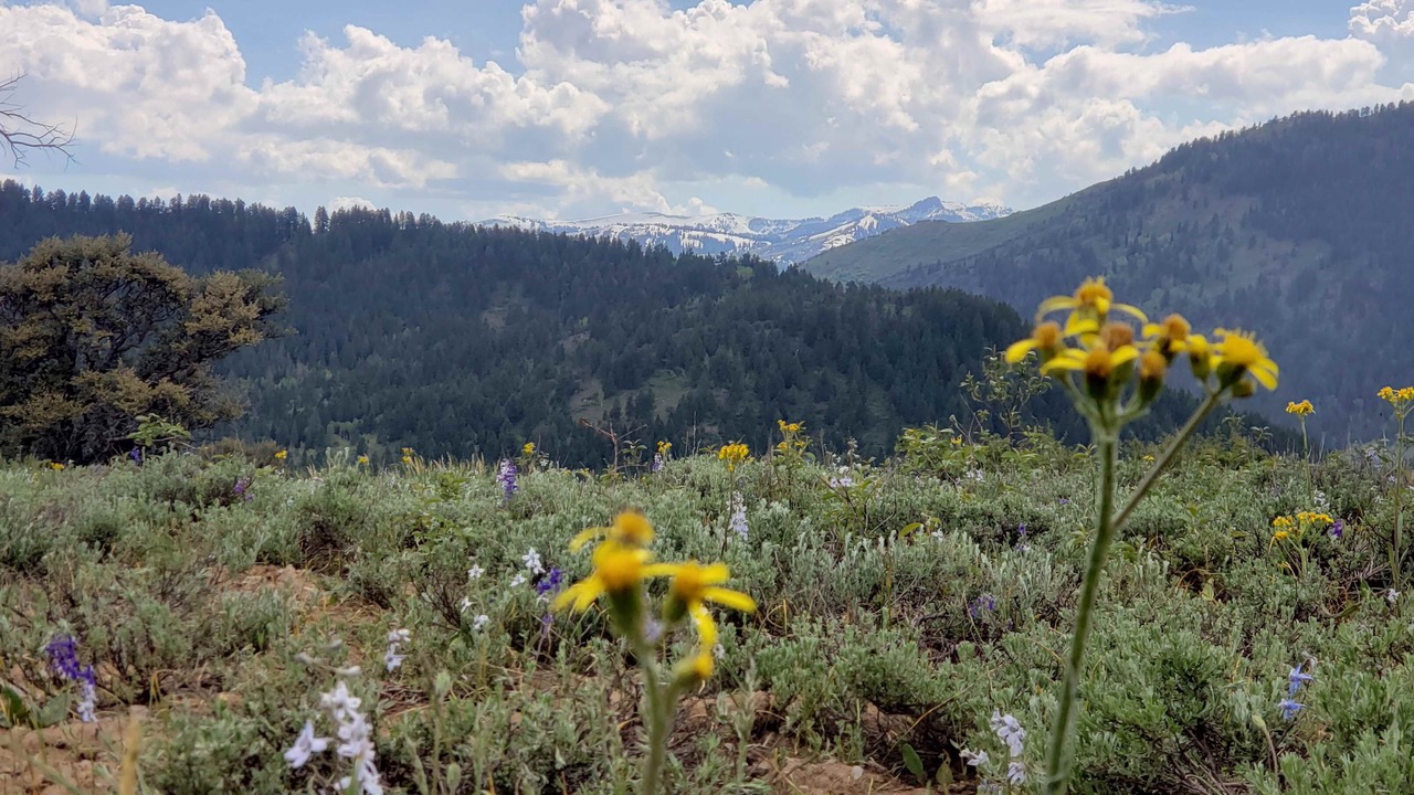 Photo of Outdoor in Dingle