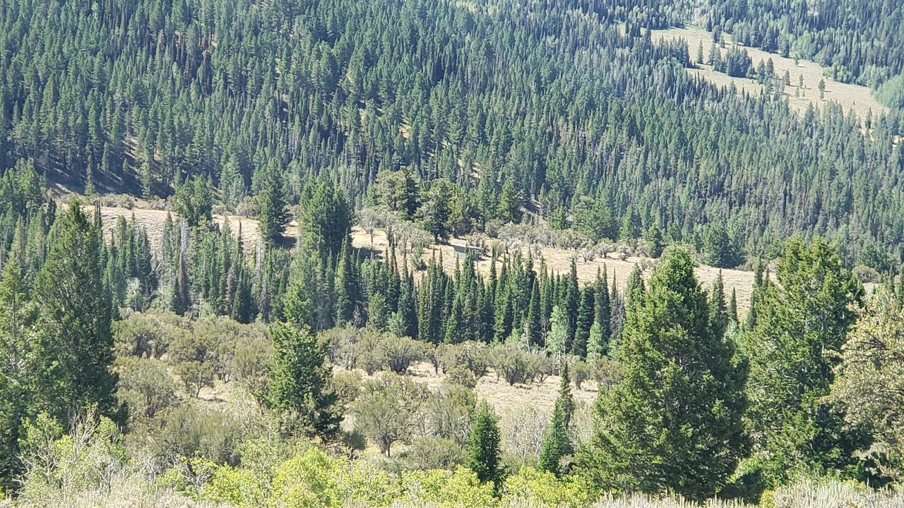 Photo of Outdoor in Dingle