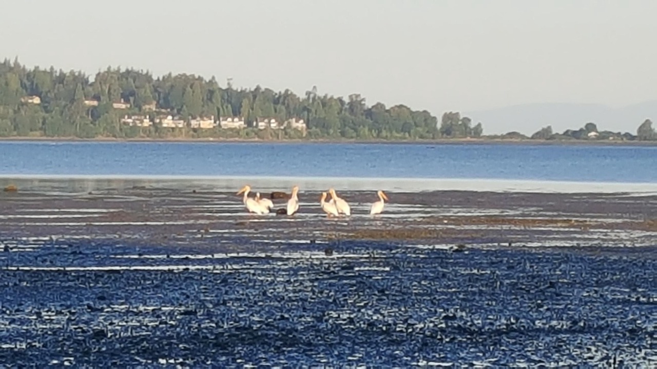 Photo of Others in Blaine