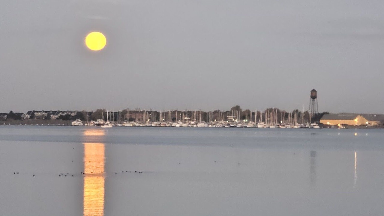 Photo of Others in Blaine