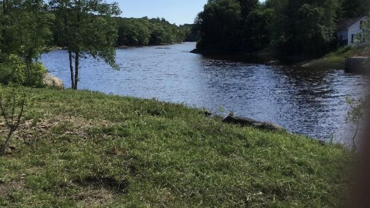 Photo of Others in Warren